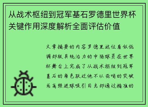 从战术枢纽到冠军基石罗德里世界杯关键作用深度解析全面评估价值