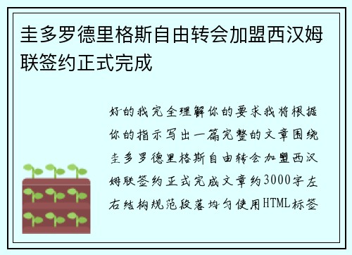 圭多罗德里格斯自由转会加盟西汉姆联签约正式完成